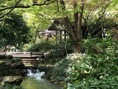 -中国茶叶博物馆(双峰馆区)