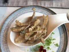 -上海宝华喜来登酒店·采悦轩中餐厅