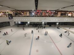 -TheRink大零溜冰场(IFS国金中心店)