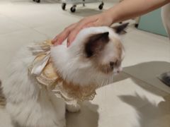 -怪兽屋·羊驼·猫咖·狗咖(俊华广场店)