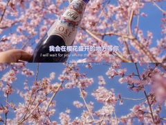 -海棠花溪(元大都城垣遗址公园)