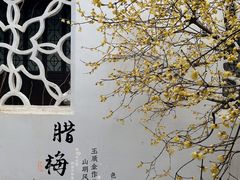-太平天国历史博物馆(瞻园)