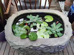 -时光乌托邦空中花园餐厅川味·融合菜(幸福广场店)