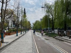 -成都市活水公园