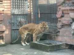 -宁波野生动物园
