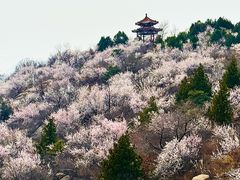 -白水寺森林公园