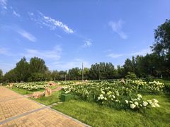 -王府井奥莱棋盘山小镇