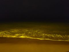 -兴城海滨风景区