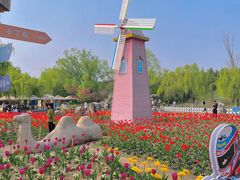 -祥源·阜阳生态乐园