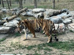 -北京野生动物园