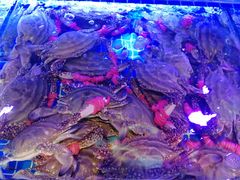 -渔民船说·北塘海鲜·天津菜·海肠捞饭(北塘古镇店)
