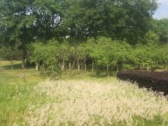 -白塘生态植物园