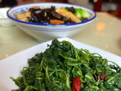 护肝桑叶苗-归元·云集斋素菜馆