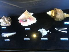 iphone_upload_pic-贝壳梦幻世界