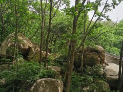 -大岭沟猕猴桃谷风景区