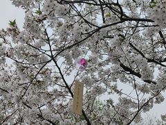 -堤角公园