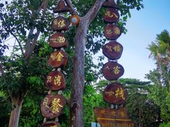 -傣泐金湾餐厅