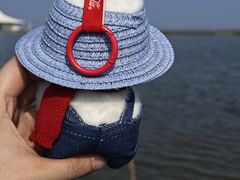 -碧海金沙