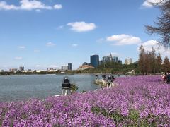 -顺峰山公园