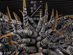 -成都许燎源现代设计艺术博物馆