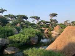 -罗红摄影艺术馆