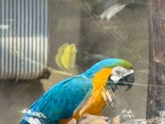 -大连森林动物园