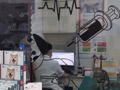-宠欣安宠物医院·包河区中心医院