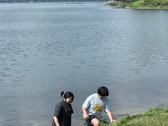 -丁香湖公园