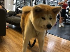 -YCHL Studios健身工作室(市二宫店)