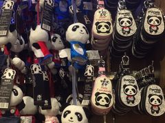 -熊猫屋(宽窄巷子景区店)