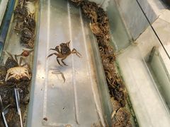 -川骄海鲜自助(河东店)