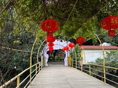 -李小龙乐园(顺德均安店)