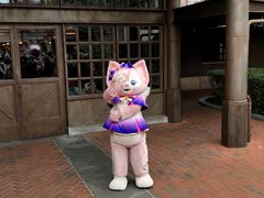 -Tangled Tree Tavern 老藤树食栈