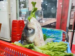 -华仔土鸡店(南洲分店)