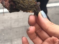 -都士牧人现烤牛肉干