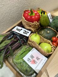 -薇薇安花系SPA