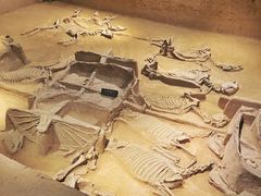 -洛阳周王城天子驾六博物馆