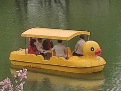 -青枫公园