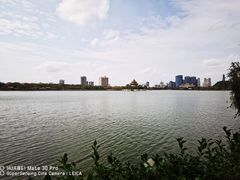 -顺峰山公园