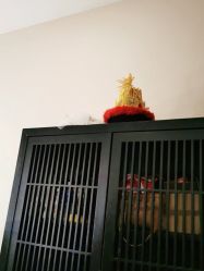 -盘子女人坊古装写真摄影(天津总店)