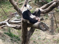 -宁波野生动物园
