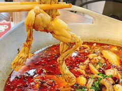 -靓蛙馆