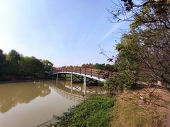 景点-上海海湾国家森林公园