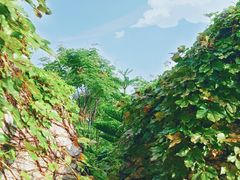 -广州融创水世界