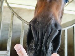 -广州锦绣香江度假别墅