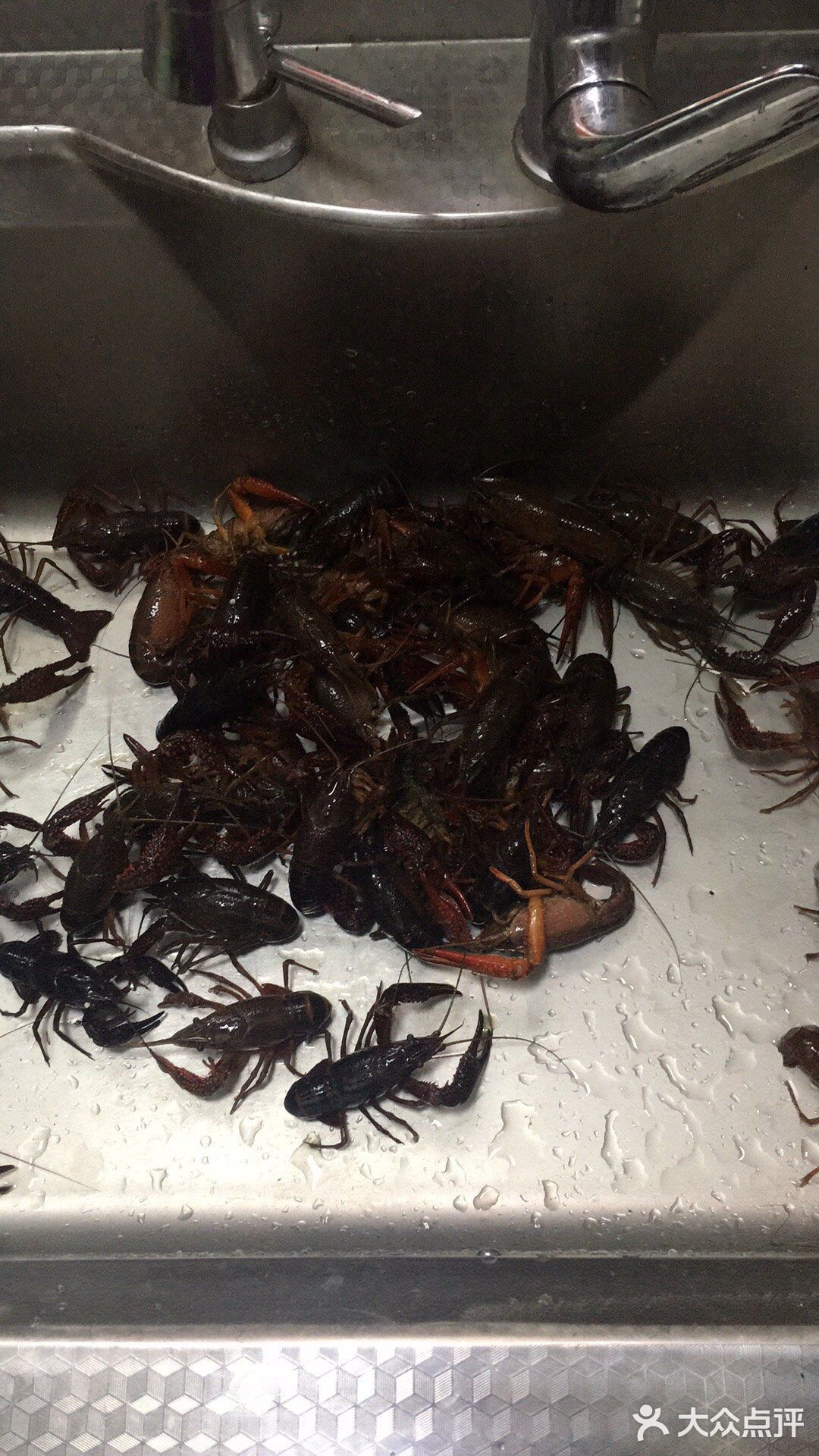 南京人吃龙虾🦞还是五香味的地道，小时候的口味。