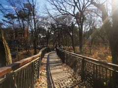 -沈阳市东陵公园