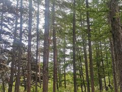 -长春市南湖公园