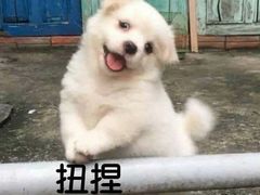-李师傅脆肚(梅林店)