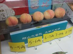 -老袁家蜜桃农场·阳山水蜜桃